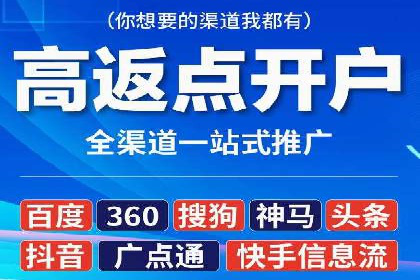 某某企业SEM营销案例：从SEM到全渠道营销的转型之路